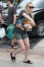 SOPHIE TURNER, PRIYANKA CHOPRA and Nick and Joe Jonas Out in Miami 03/25/2019