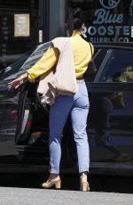 VANESSA HUDGENS in Denim Out Shopping in Hollywood 03/14/2019