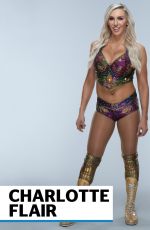 WWE - Superstar Ring Gear