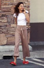 ZENDYA COLEMAN Out Shopping in Los Angeles 03/26/2019