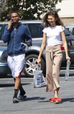 ZENDYA COLEMAN Out Shopping in Los Angeles 03/26/2019
