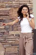 ZENDYA COLEMAN Out Shopping in Los Angeles 03/26/2019