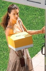 ALESSANDRA AMBROSIO at Early Birthday Party at a Beach in Los Angeles 04/07/2019