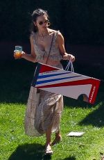ALESSANDRA AMBROSIO at Early Birthday Party at a Beach in Los Angeles 04/07/2019