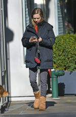 AMANDA SEYFRIED Out with Her Dog in New York 04/02/2019