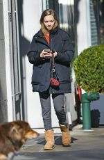 AMANDA SEYFRIED Out with Her Dog in New York 04/02/2019