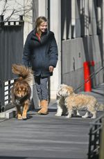 AMANDA SEYFRIED Out with Her Dog in New York 04/02/2019