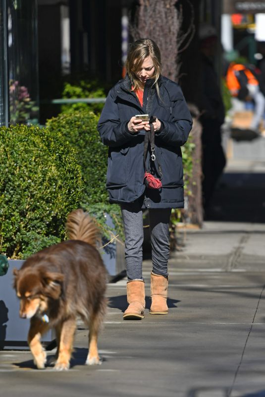 AMANDA SEYFRIED Out with Her Dog in New York 04/02/2019