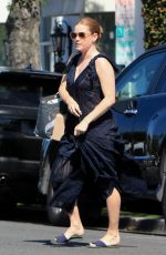 AMY ADAMS and Darren Le Gallo Shopping at Bristol Farms in Beverly Hills 04/10/2019