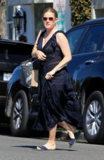 AMY ADAMS and Darren Le Gallo Shopping at Bristol Farms in Beverly Hills 04/10/2019