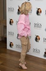 ANTHEA TURNER at A Dog