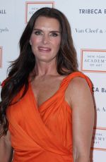 BROOKE SHIELDS at Tribeca Ball in New York 04/08/2019
