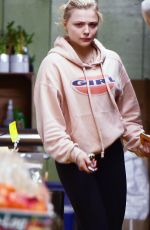 CHLOE MORETZ Shopping at Grocery Store in Los Angeles 04/01/2019