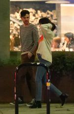 DAKOTA JOHNSON and Blake Lee Out for Dinner in Los Angeles 04/29/2019