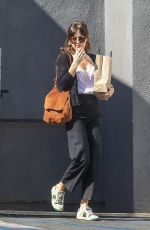 DAKOTA JOHNSON Leaves Book Soup in West Hollywood 04/24/2019