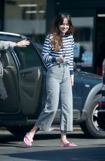 DAKOTA JOHSNON Shopping at Trader Joe