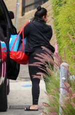 DEMI LOVATO Heading to a Gym in Los Angeles 04/29/2019