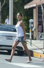 ELISABETTA CANALIS Out with Her Dog in West Hollywood 04/03/2019
