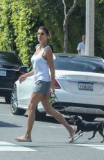 ELISABETTA CANALIS Out with Her Dog in West Hollywood 04/03/2019