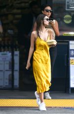 EMILY RATAJKOWSKI Out Shoppinig in Los Angeles 04/22/2019