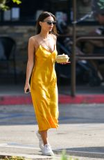 EMILY RATAJKOWSKI Out Shoppinig in Los Angeles 04/22/2019