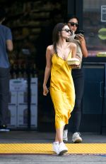 EMILY RATAJKOWSKI Out Shoppinig in Los Angeles 04/22/2019