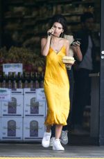 EMILY RATAJKOWSKI Out Shoppinig in Los Angeles 04/22/2019