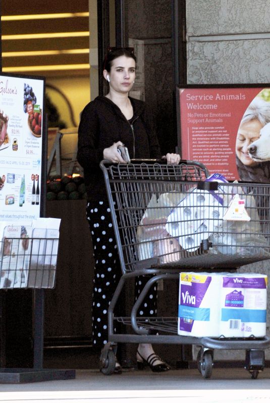 EMMA ROBERTS Shopping at Gelsons in Los Angeles 04/24/2019