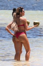 FARRAH ABRAHAM in Bikini at a Beach in Tulum 04/10/2019