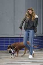 GISELE BUNDCHEN Out with Her Dogs in New York 04/14/2019