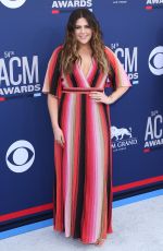 HILARRY SCOTT at 2019 Academy of Country Music Awards in Las Vegas 04/07/2019