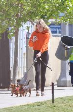 IRELAND BALDWIN Out with Her Dogs in Los Angeles 04/11/2019