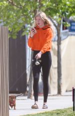 IRELAND BALDWIN Out with Her Dogs in Los Angeles 04/11/2019