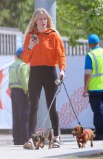 IRELAND BALDWIN Out with Her Dogs in Los Angeles 04/11/2019