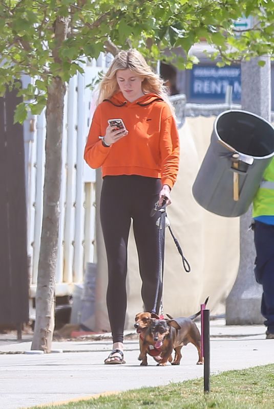 IRELAND BALDWIN Out with Her Dogs in Los Angeles 04/11/2019