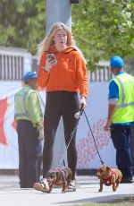 IRELAND BALDWIN Out with Her Dogs in Los Angeles 04/11/2019