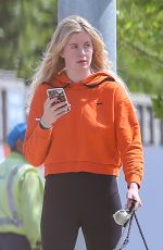 IRELAND BALDWIN Out with Her Dogs in Los Angeles 04/11/2019