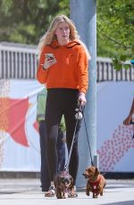 IRELAND BALDWIN Out with Her Dogs in Los Angeles 04/11/2019