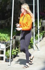 IRELAND BALDWIN Out with Her Dogs in Los Angeles 04/11/2019