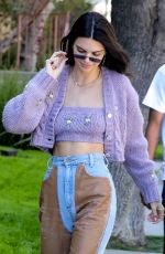 KENDALL JENNER Out in Los Angeles 04/06/2019