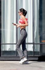 KENDALL JENNER Out in Santa Monica 04/18/2019