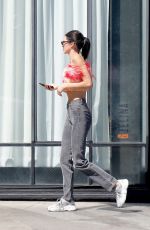 KENDALL JENNER Out in Santa Monica 04/18/2019