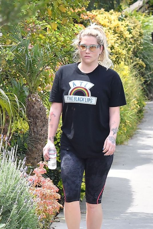 KESHA SEBERT Out Hiking in Santa Monica 04/07/2019