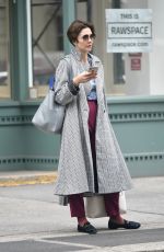 MAGGIE GYLLENHAAL Out Shopping in New York 04/14/2019