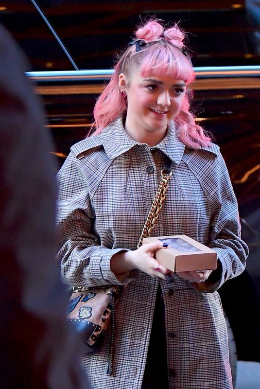 MAISIE WILLIAMS Arrives at Her Hotel in New York 04/01/2019