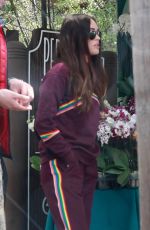 MEGAN FOX Out Shopping in Calabasas 04/27/2019