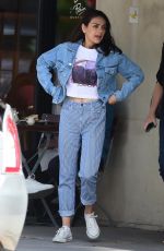 MILA KUNIS in Double Denim Out in Studio City 04/11/2019