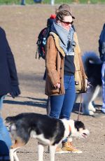 OLIVIA WILDE Out with Her Dog in New York 04/01/2019