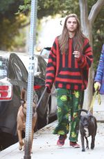 PARIS JACKSON and Gabriel Glenn Out with Their Dog in Los Angeles 04/10/2019