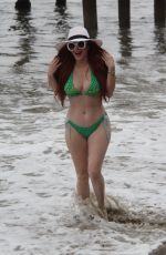 PHOEBE PRICE in Bikini at a Beach in Malibu 04/29/2019